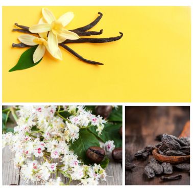 DRESDNER ESSENZ Śpij dobrze - płyn do kąpieli dla dzieci 40 ml