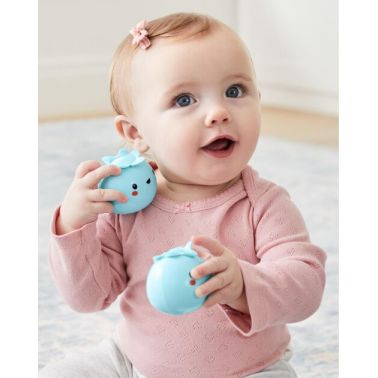 Skip Hop Grzechotki Instrumenty Jagody Farma 3+