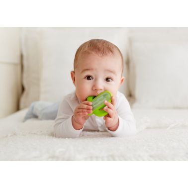 Gryzak-grzechotka Kaktus zielony Giligums