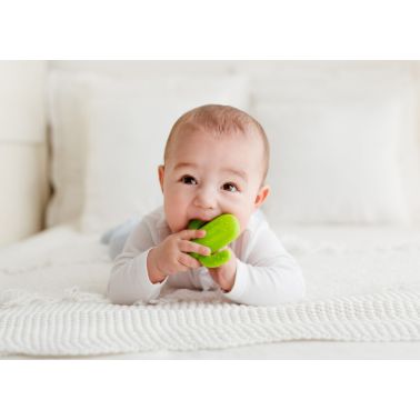 Gryzak-grzechotka Kaktus zielony Giligums